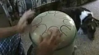 The Original Propane Tank Hank Drum - by Dennis Havlena