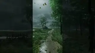 Rainy Weather Whatsapp Status🌧️🌳