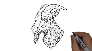 How to Draw a Goat Face Easy.