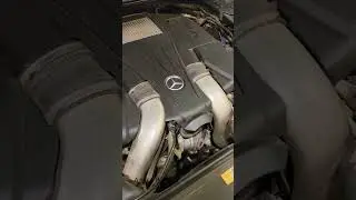Roaring V8 engine bay of Mercedes Benz S 500 #mercedesbenz #sclass #carshorts #autoprime #sjh