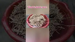Mushroom cultivation at home