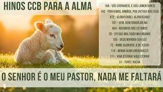 🌅 HINOS CCB DE COMUNHÃO — LOUVORES SUAVES QUE ILUMINAM A VIDA E ACALMAM O CORAÇÃO 🙏🎶