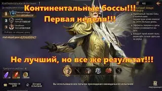 ИТОГИ ПЕРВОЙ НЕДЕЛИ НА КОНТИНЕНТАЛЬНЫХ БОССАХ!!! | Dragonheir: Silent Gods