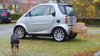 Smart 450 Reparatur der Türentriegelung in 3 Minuten