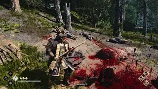 Assassin's Creed Shadows 