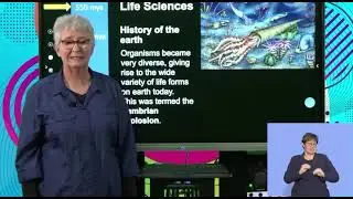 Life Sciences Grd 10 Cambrian Explosion S1