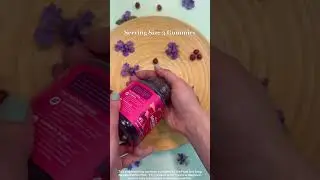 Olly Active Immunity +Elderberry Gummies, Berry Brave Flavor - 45 Gummies