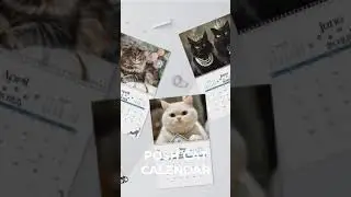 Cat Calendar, Chic Cat-Themed 2025 Wall Calendar for Cat Lovers