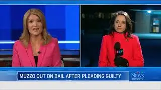 CTV News Local Intros & Title Graphics Packages   February 4, 2016 [PART 3]