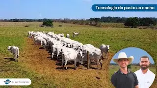 Pasture-to-trough technology | Tortuga News