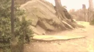 DJ Fitschi - Jungle