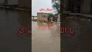 Sutlej River Flood Update #mazharagriinfo #floodupdate #flood2025 #pakistanfloods
