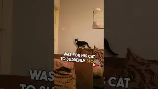 &ldquo;Nothing to see here&rdquo; 👋 🤣