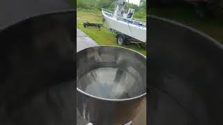 Geyer Piston Filler