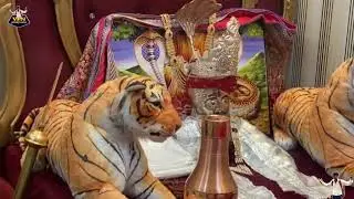 जाहरवीर गोगाजी का रात्रिविश्राम शयन कक्ष के दिव्य दर्शन गोगामेड़ी मंदिर 