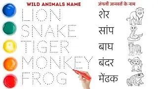 Wild animals name in English and Hindi with pictures || Shobi study class