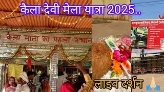 राजराजेश्वरी कैला मैया Live darsan 2025/कैला देवी दर्शन में उमड़ी भक्तों की भीड़@krishnaaexplore 🙏🏻