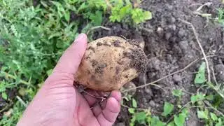 Agriculture Farms In England