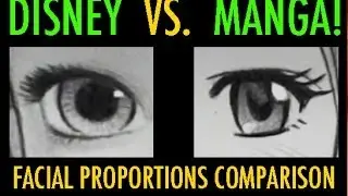 Disney Vs. Manga: Facial Proportions Compared
