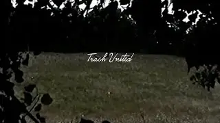 Brain Cave - Trash United
