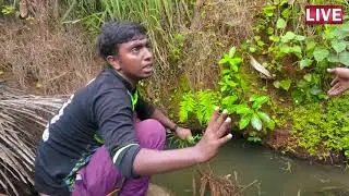 TTV  Boyzzz  sothanigall.... #braking #News #breakingnew's #fun
