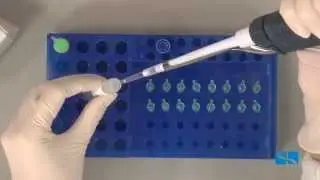 PROTOCOL HPV DIRECT FLOW CHIP ENG