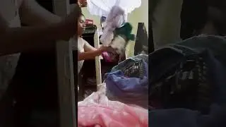 Vlog do primeiro dia de reforma do quarto 