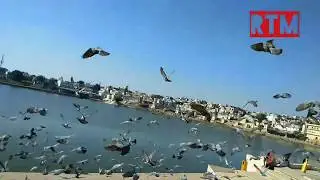 Pushkar Lake | Rajasthan | ajmer...