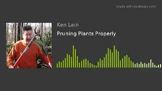 Pruning Plants Properly