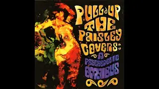 Sunseri - Peace Frog (The Doors Cover)
