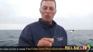 Come INNESCARE per pesca dei PAGELLI