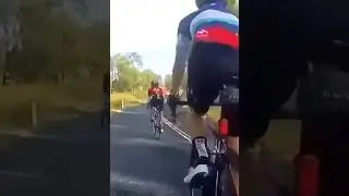 cyclist hit by kangaroo #shorts