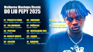 Melhores Mashups/Remix Do LIU PEPY 2025🤡
