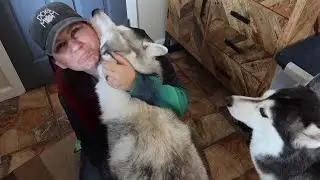 Leaving The Huskies for FOUR Days!