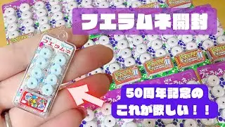 【フエラムネ】ミニチュアおもちゃが必ず欲しい人【50周年限定】