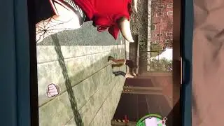 Bully SE/AE, Wade Martin Vs Norton Williams! (Fight)