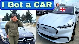 The Largest Car Store You Won't Believe is in Georgia!