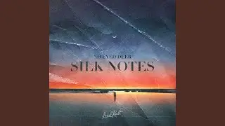 Silk Notes