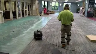 Northside Carpeting - Phase 1