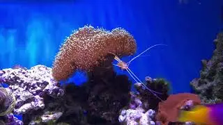 100L Tank - Update (8th May, 2019)