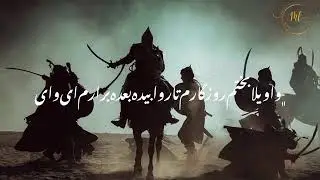 Morteza Bab