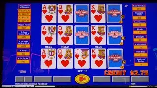 Video Poker: Triple Play - Triple Double Bonus Poker All Hands Progressive