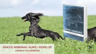 Gratis webinar: Hund i rörelse - Annika Falkenberg
