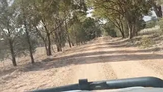 SATURDAY DRIVE IN THE RIVERINA NSW AUSTRALIA 🦘