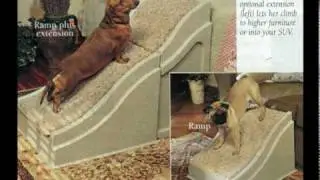 Sky Mall Kitties