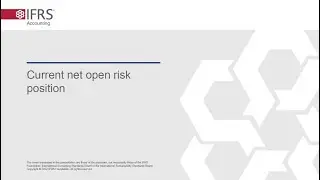 Dynamic Risk Management webcast 3 of 8: Current net open risk position