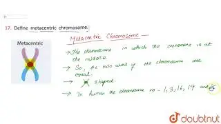 Define metacentric chromosome.
