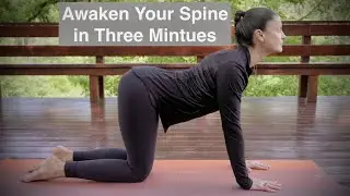 Three Minute Yoga for Awakening the Spine
