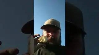 true homesteading way to seed potatoes part 2