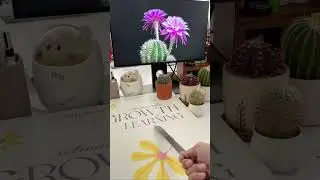 The Secret Life of Blooming Houseplants #houseplants #plants #indoorplanting